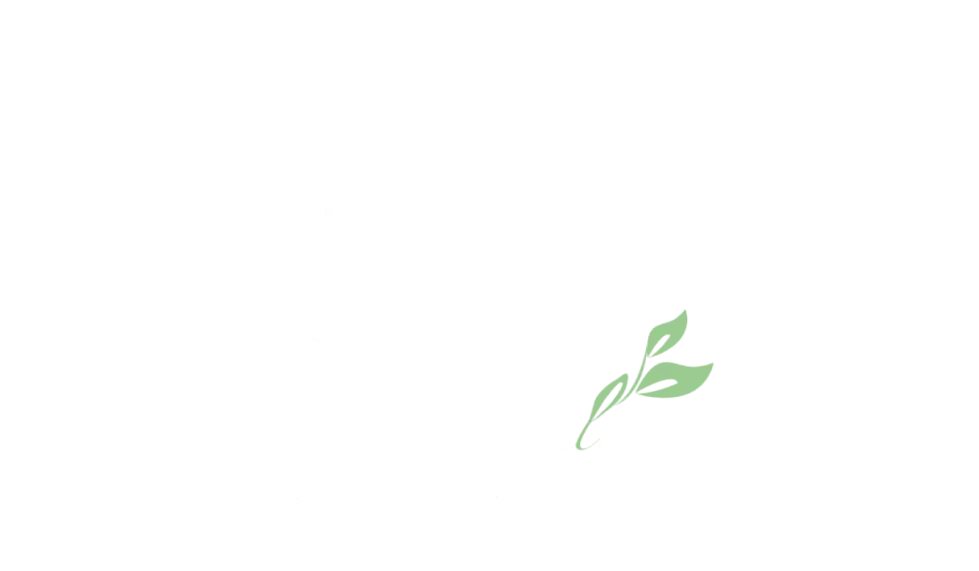 Americans for Healthcare Alternatives (AFHA) logo