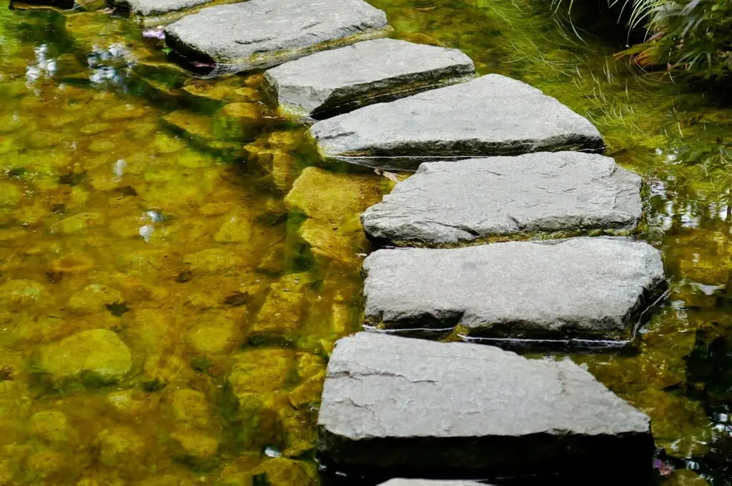 Stepping stones leading across still green water